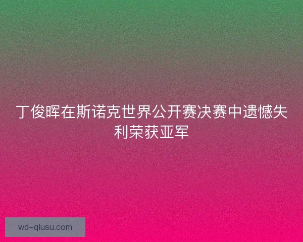 丁俊晖在斯诺克世界公开赛决赛中遗憾失利荣获亚军 丁俊晖在斯诺克世界公开赛决赛中遗憾失利荣获亚军