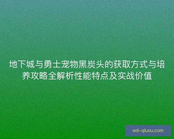 地下城与勇士宠物黑炭头的获取方式与培养攻略全解析性能特点及实战价值 地下城与勇士宠物黑炭头的获取方式与培养攻略全解析性能特点及实战价值